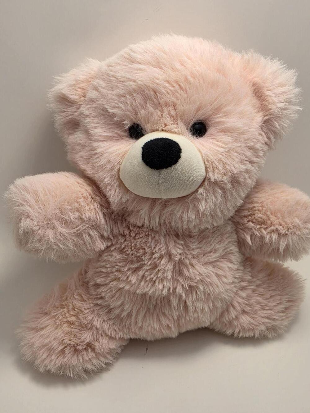 Worlds Softest Plush Pink Teddy Bear! Collectible Soft Teddy Plush (10 inch)